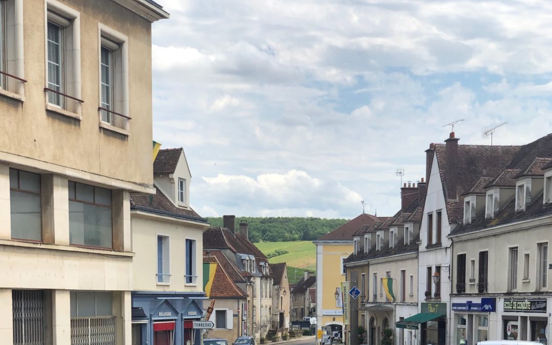 Traveling through Vineyards of Eastern France